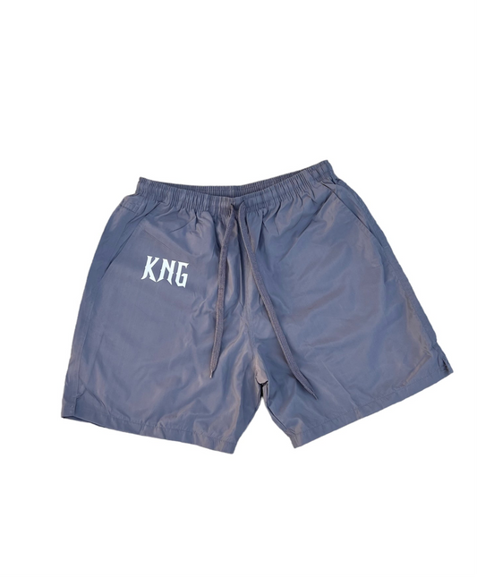 Nylon Shorts Grey