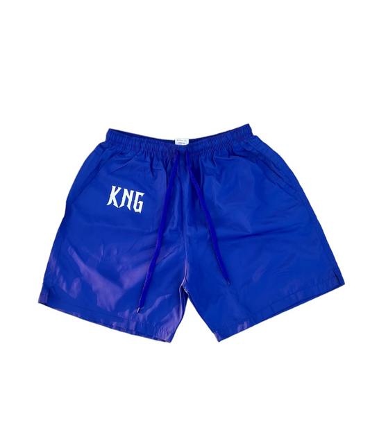 Nylon Shorts Blue